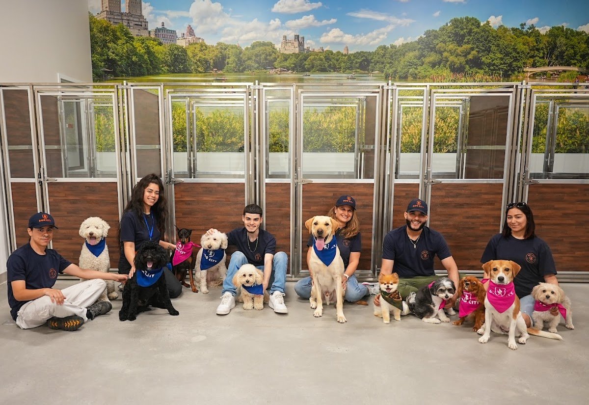 Williamsburg Animal Clinic - Photo 2