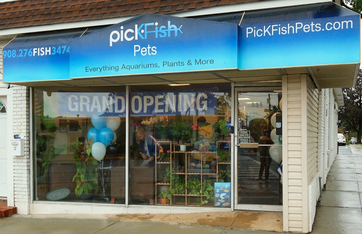 PicKFish Pets - Photo 2
