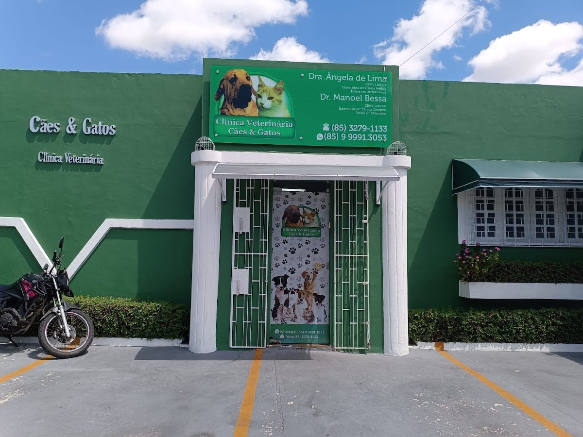 Clínica Veterinária Cães & Gatos