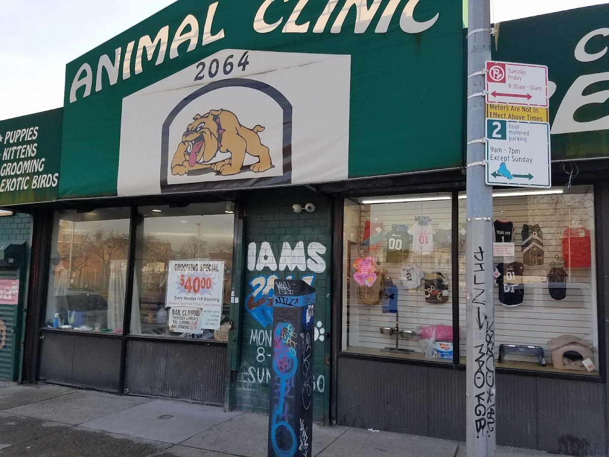 ANIMAL CLINIC - Photo 2
