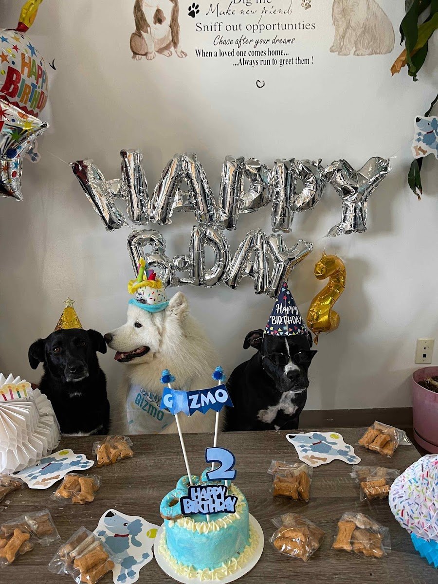 Bing's Barkin' Bakery - Photo 2