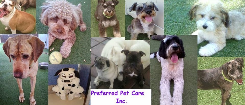 Preferred Pet Care Inc. - Photo 2
