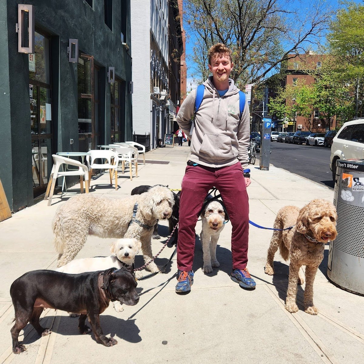 Galen's Brooklyn Walkers - Photo 2