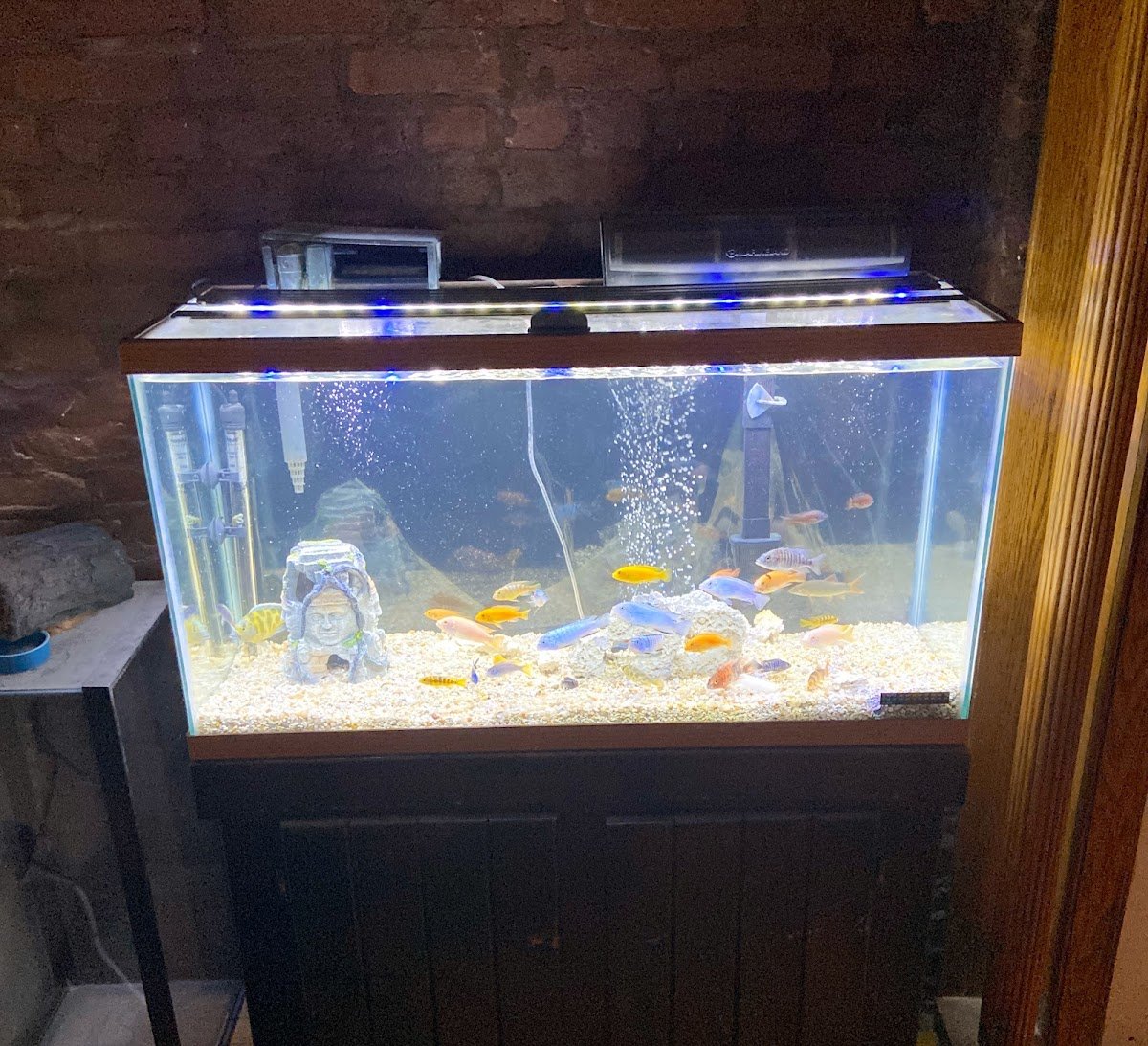 The iFISH Store - Photo 2