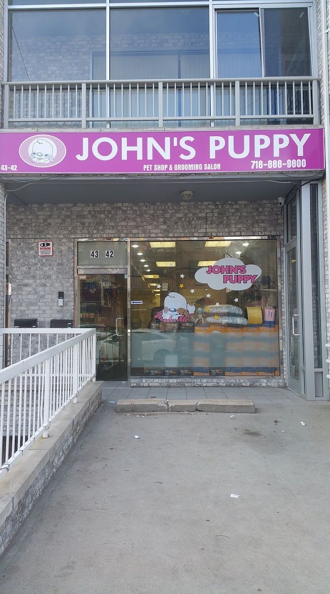 John's Puppy - Photo 2