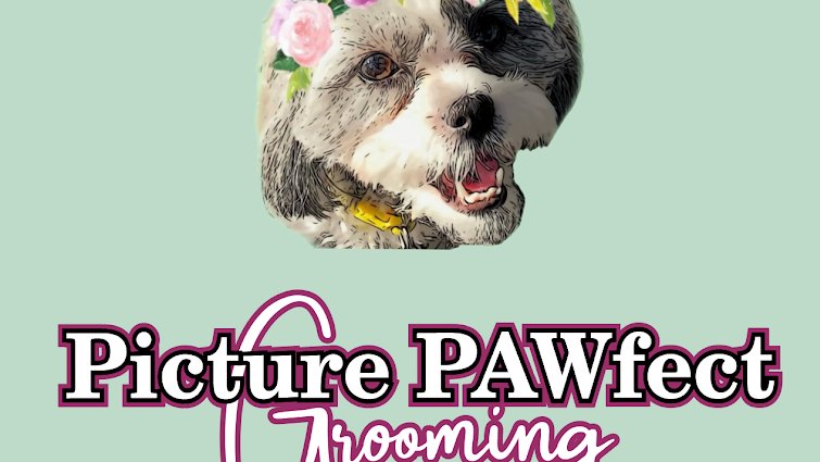 Picture PAWfect - Photo 2