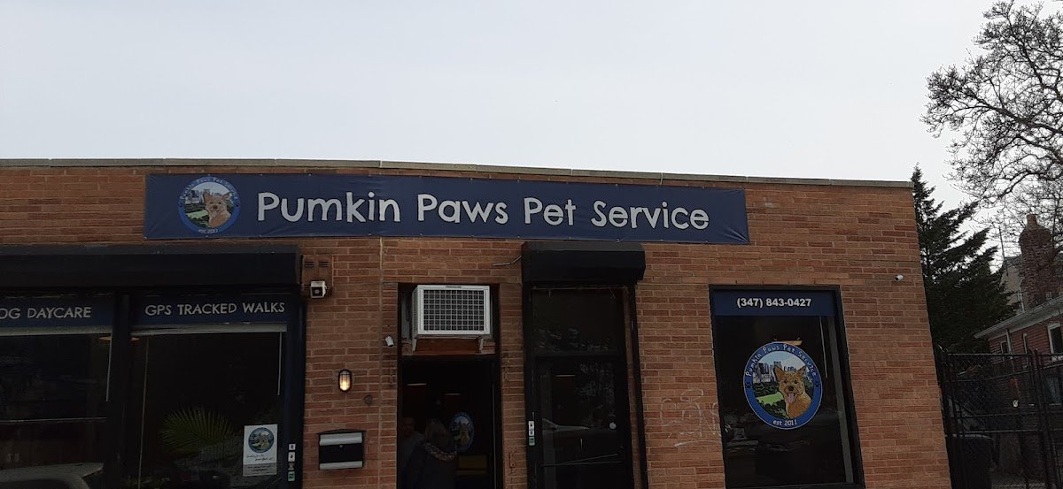 Pumkin Paws Pet Service - Photo 2