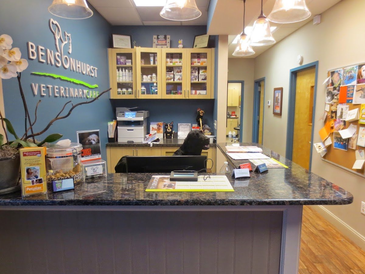 Bensonhurst Veterinary Care - Photo 2