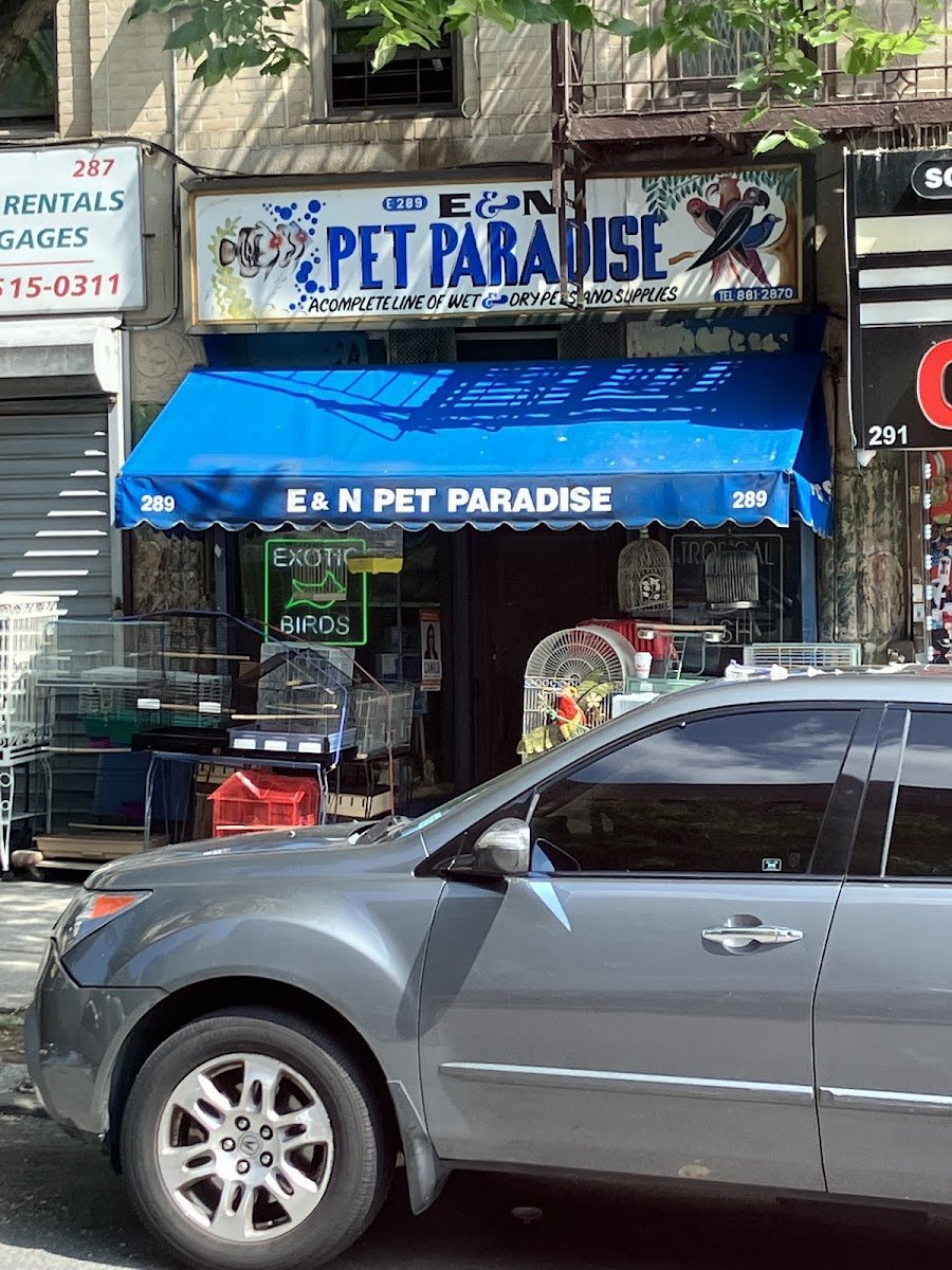 E & N Pet Paradise Shop - Photo 2