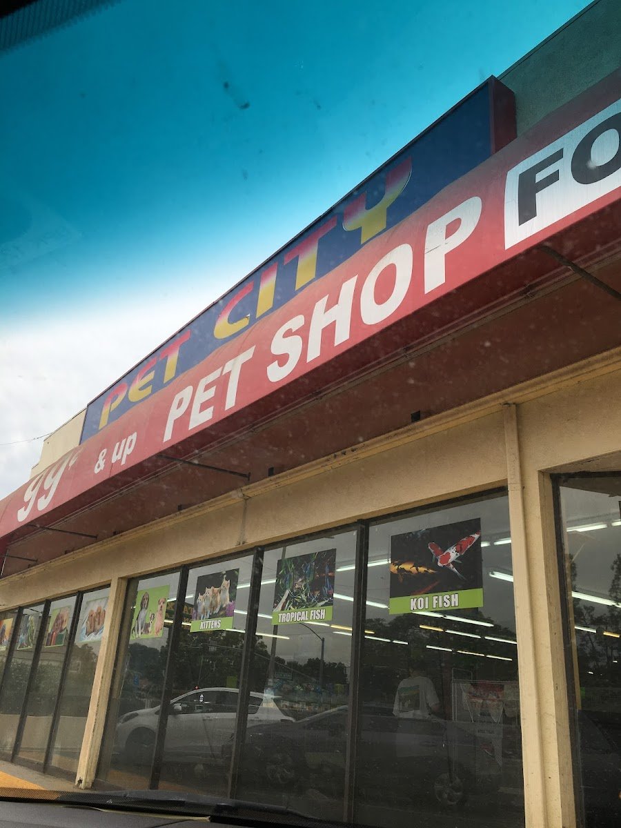 Pet City - Photo 2