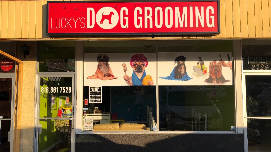Lucky's Dog Grooming - Photo 2
