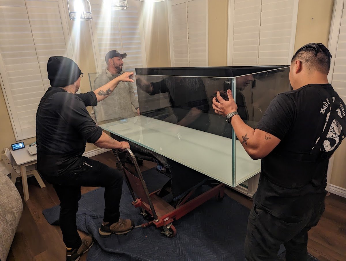 theaquariumservice.com - Photo 2