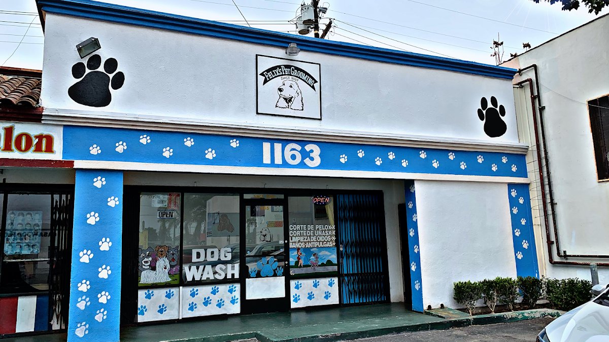 Felix's Pet Grooming - Photo 2