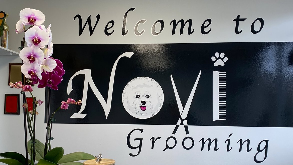 Novi Grooming - Photo 2