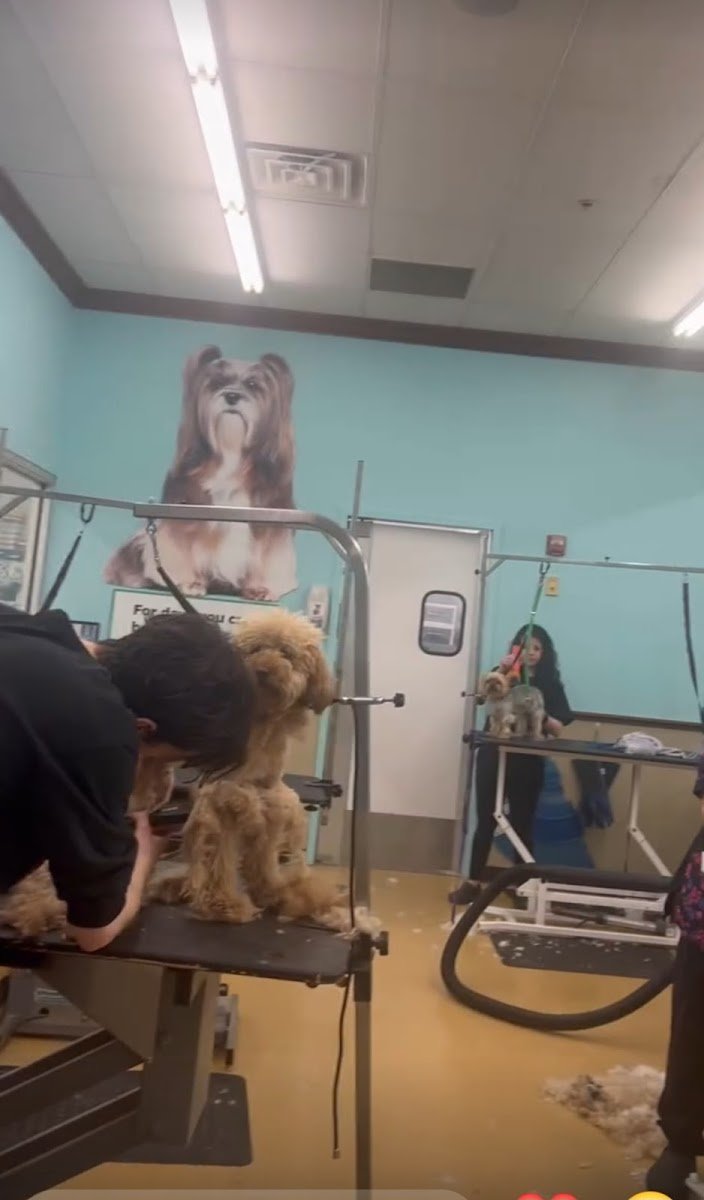 PetSmart Grooming - Photo 2