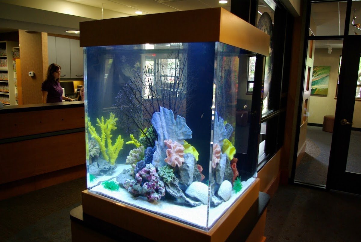 Blue Planet Aquarium Services - Photo 2