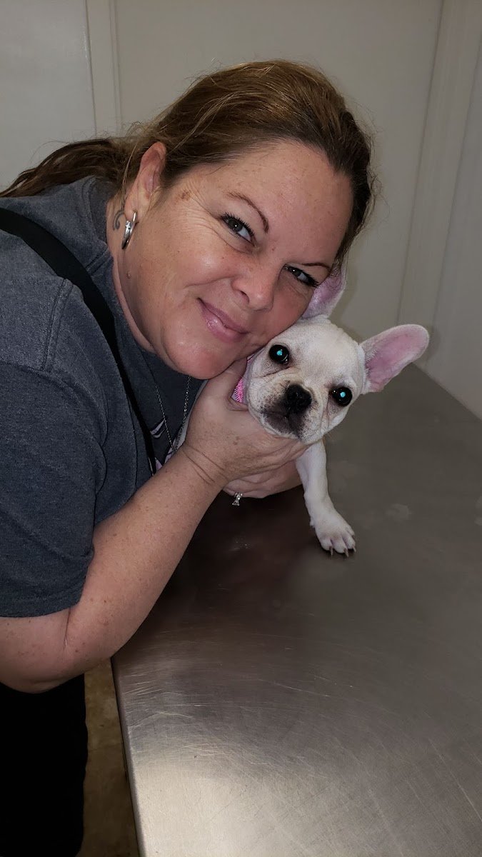 Petcare Express - Photo 2