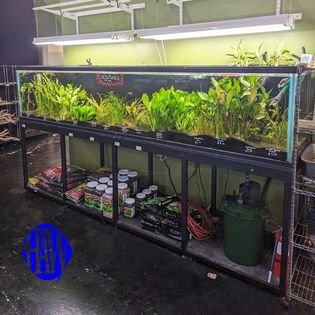 Infinity Fish LLC - Photo 2