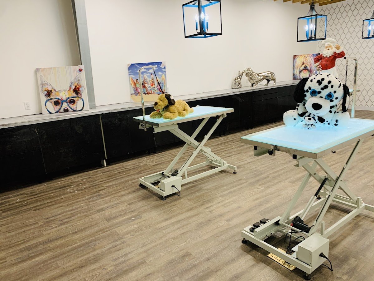 Pets Gone Wild Grooming LLC - Photo 2