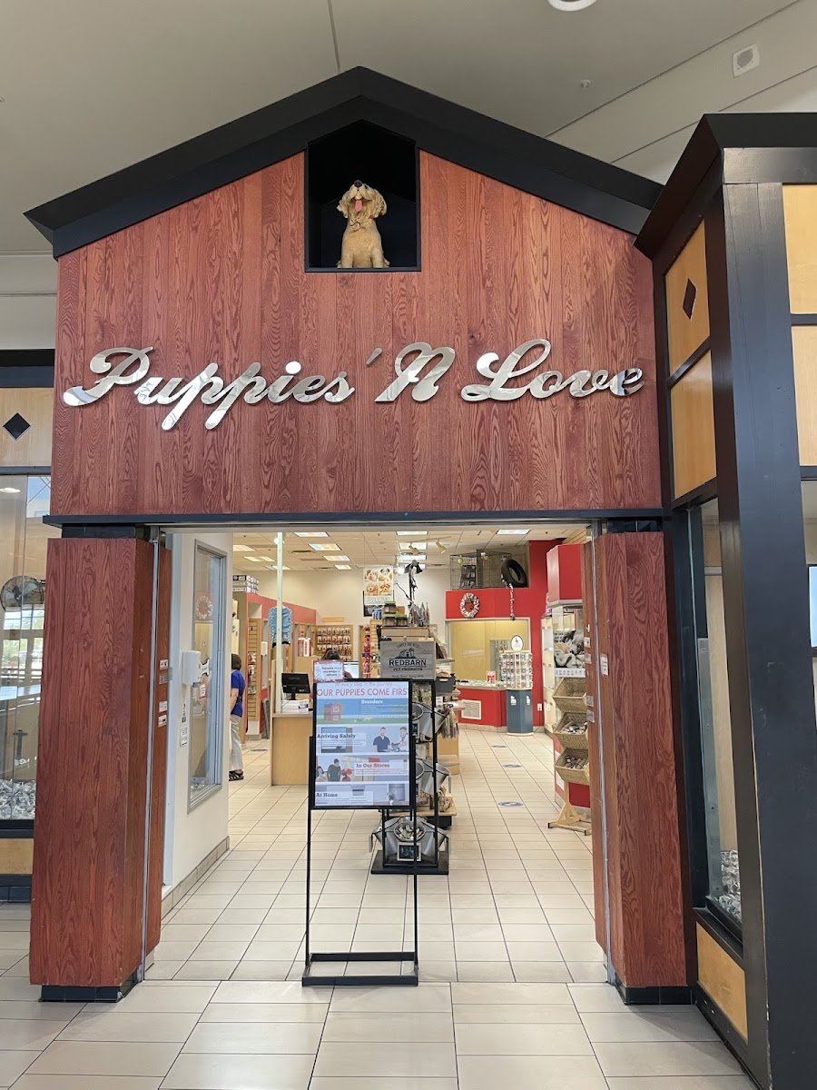 Puppies 'N Love - Photo 2