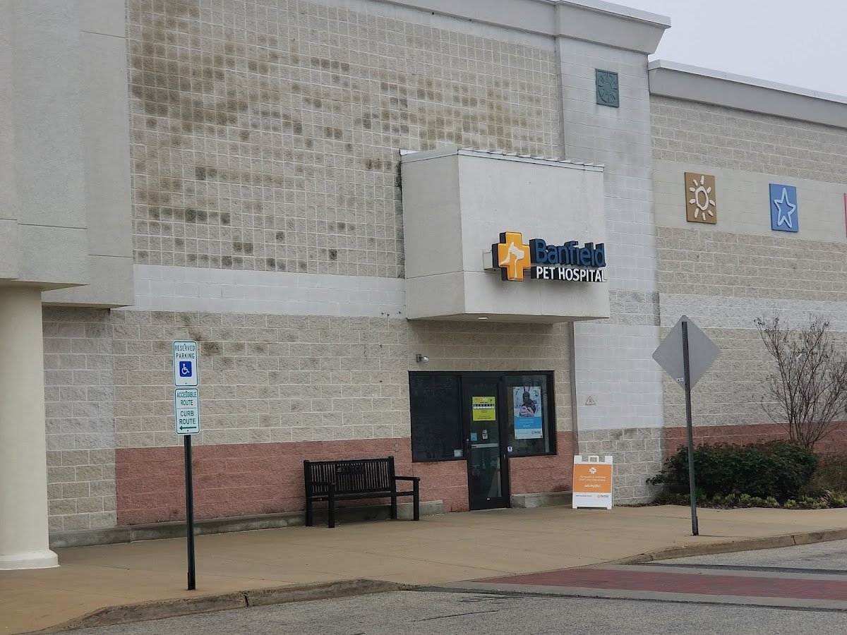 PetSmart - Photo 3