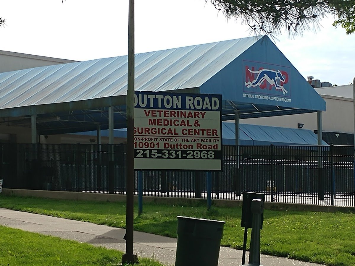 Dutton Road Veterinary Clinic - Photo 2