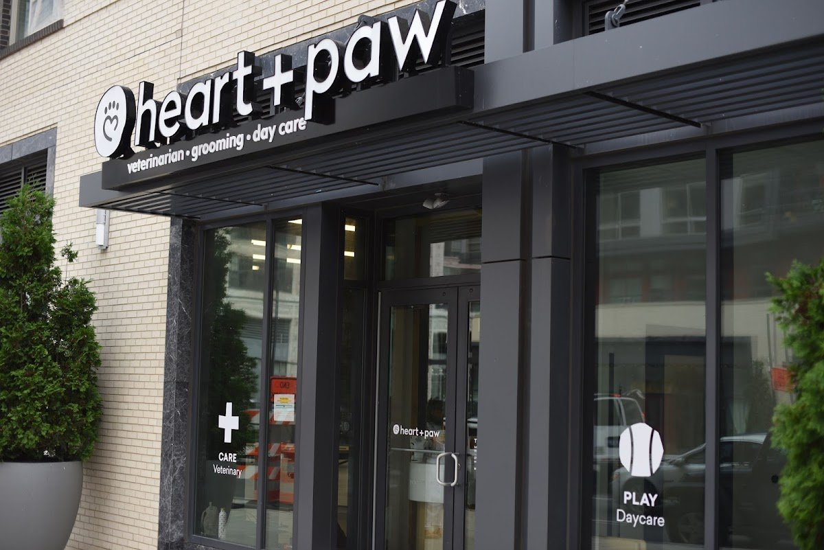 Heart + Paw - Photo 2