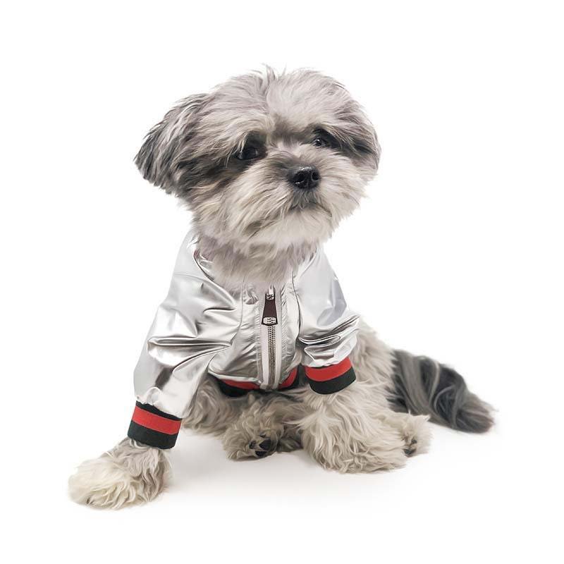 MiAmore Pets - Photo 2