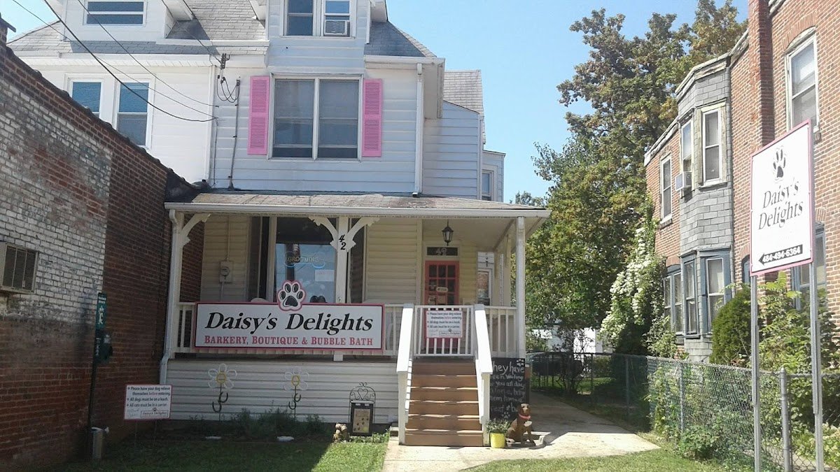 Daisy's Delights - Photo 2