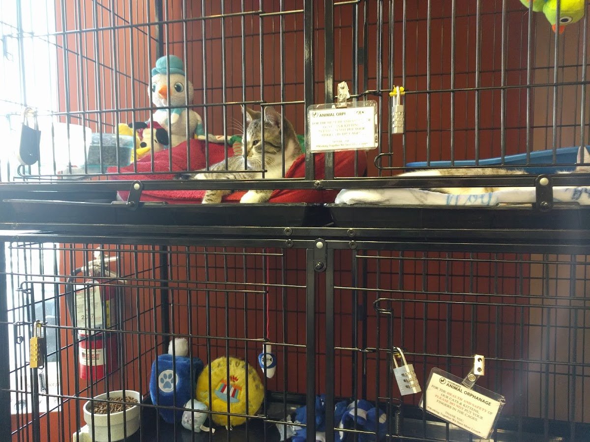 Pet Valu - Photo 2