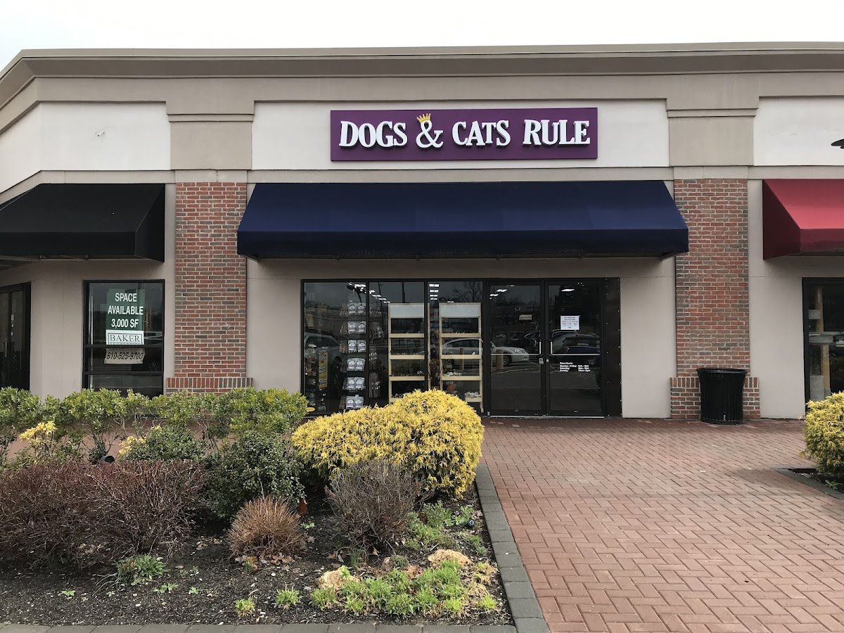 Dogs & Cats Rule - Photo 2