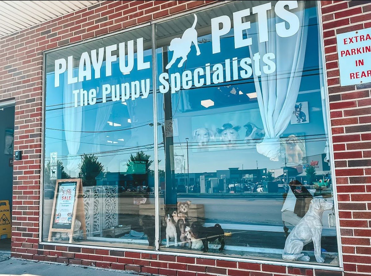Playful Pets - Photo 2