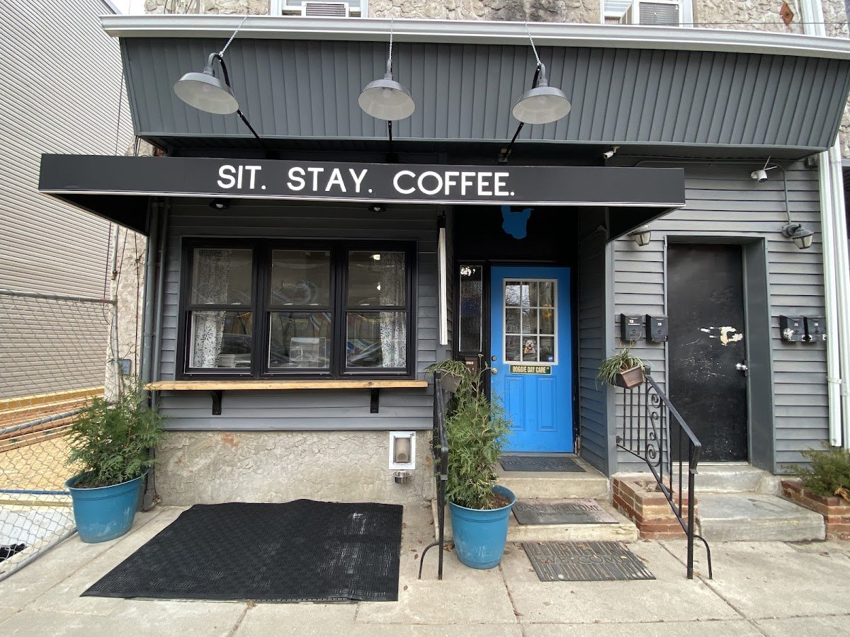 Sit Stay Coffee - Photo 2