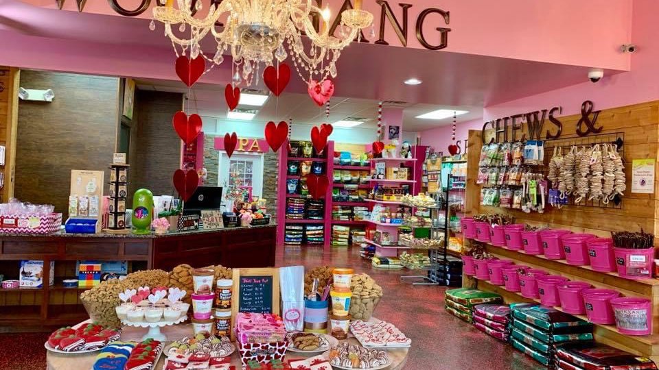 Pet Supplies Plus San Antonio - San Pedro - Photo 2
