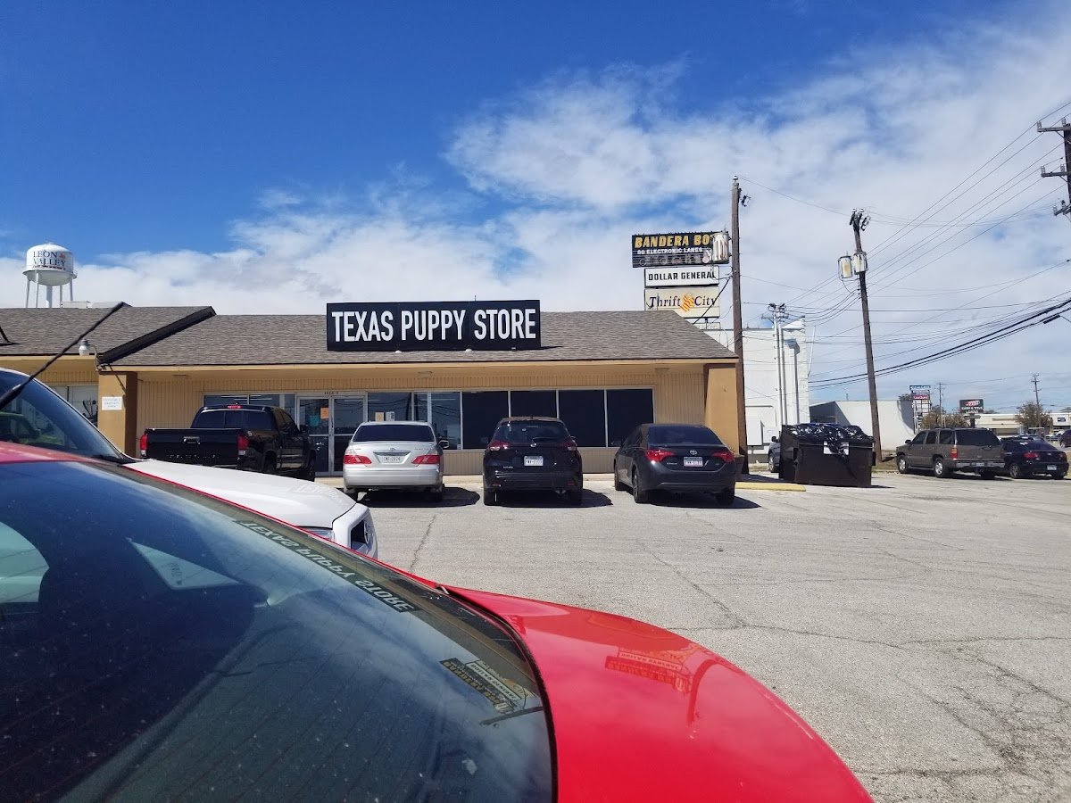 texas puppy store - Photo 2