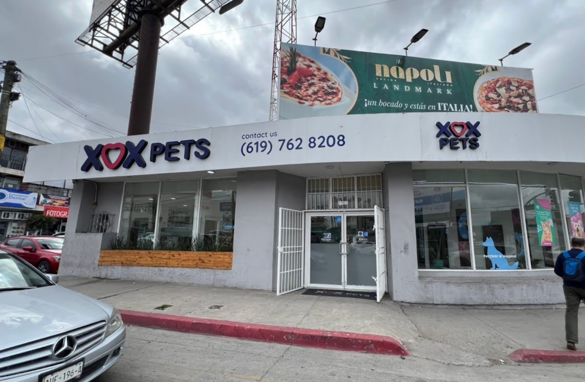 XOX Pets - Photo 2