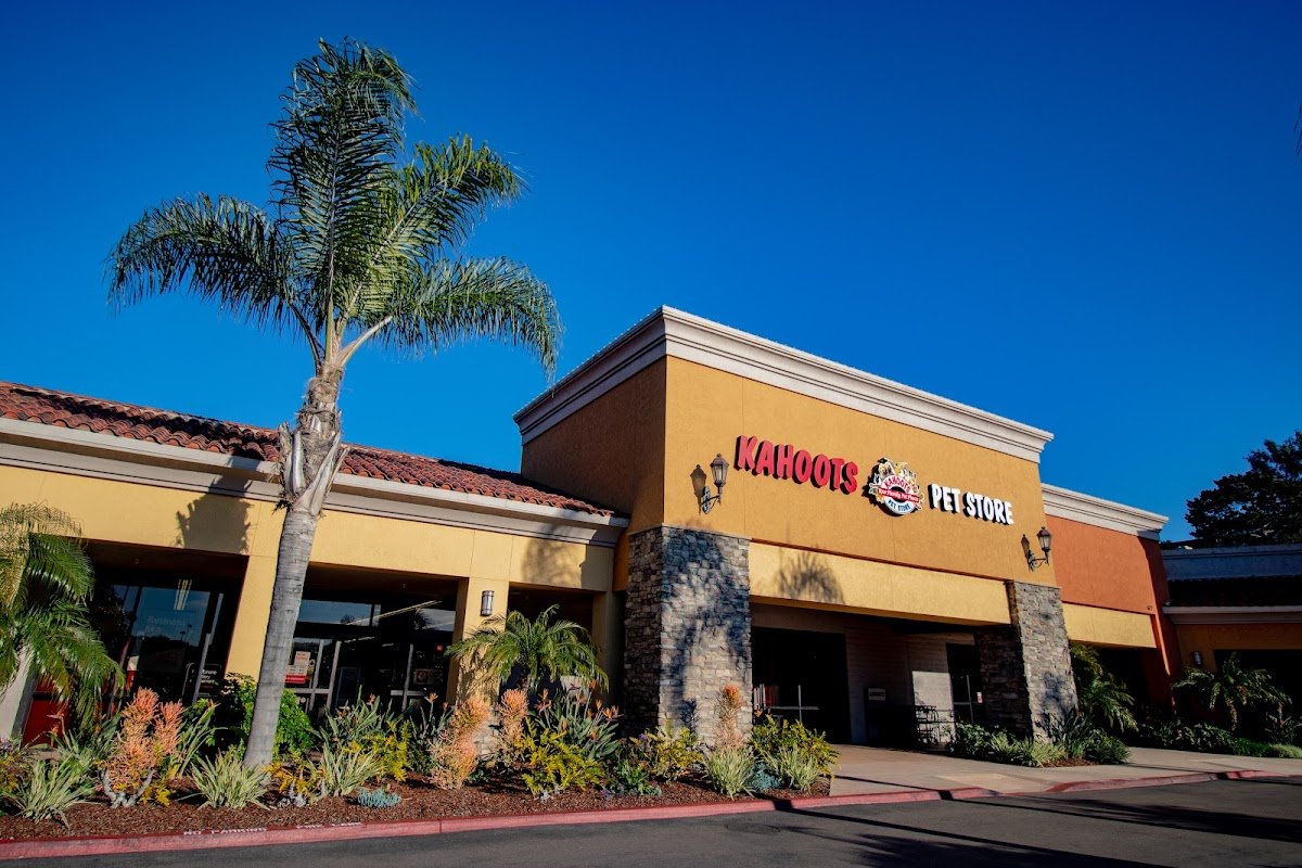Kahoots - Photo 2
