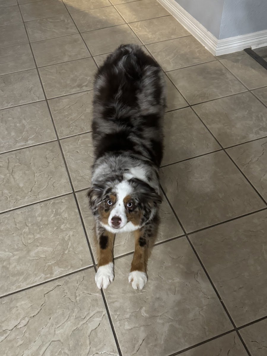 Petco - Photo 2