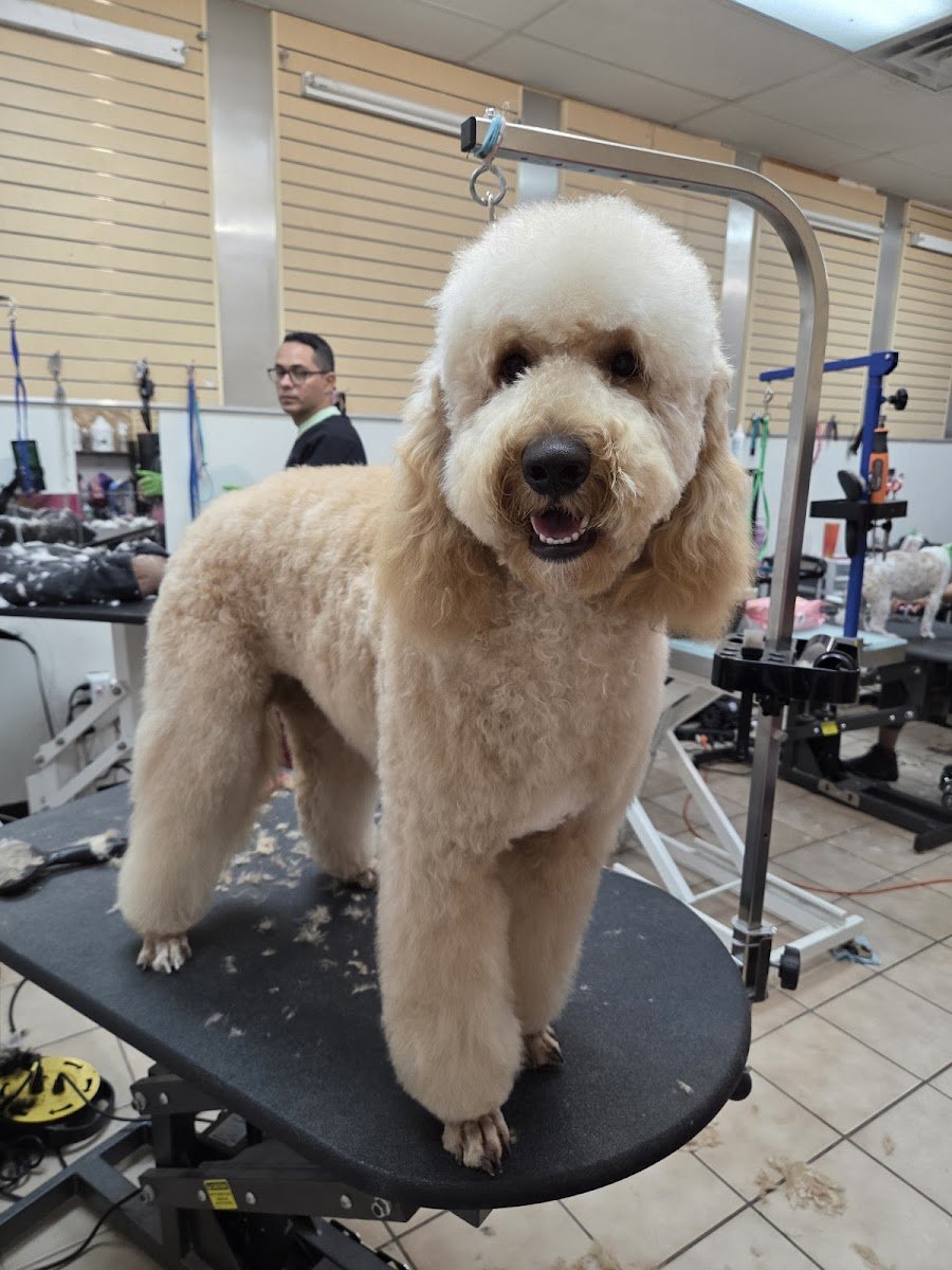 Rita’s Grooming Spa - Photo 2