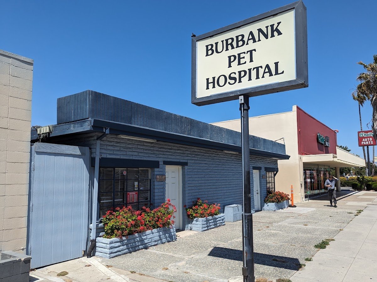 Burbank Pet Hospital - Photo 2