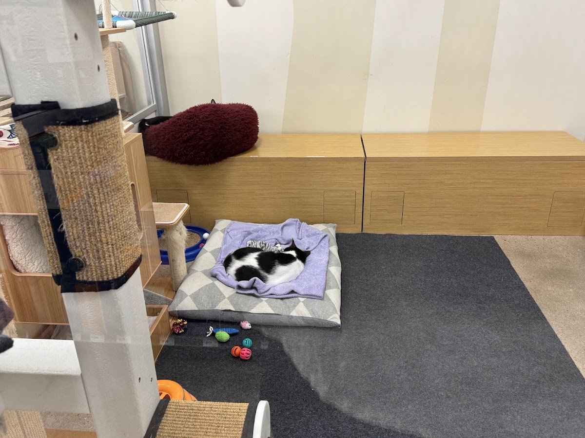 Petco - Photo 5