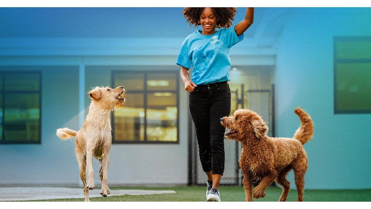 Pet Paradise Bartram - Photo 2