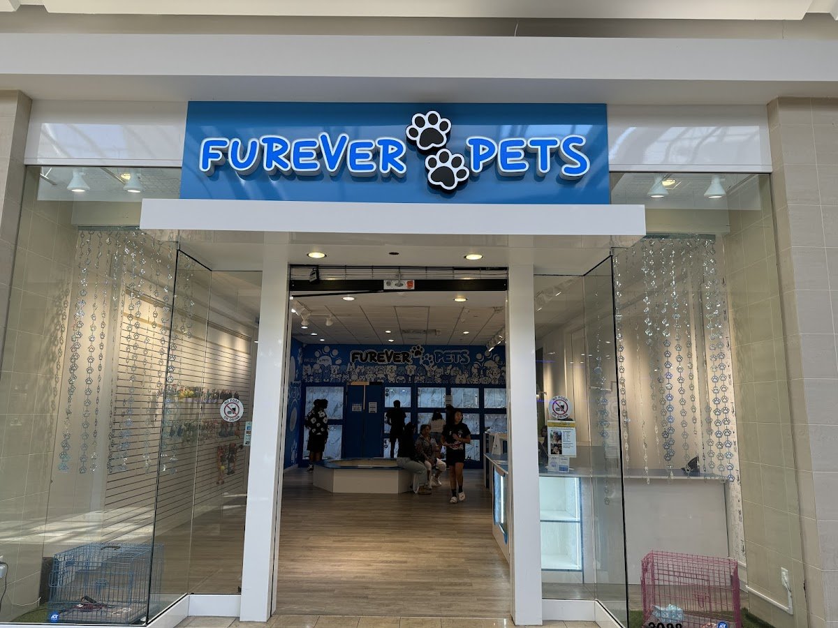 Furever Pets - Photo 2