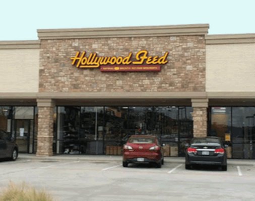 Hollywood Feed - Photo 2