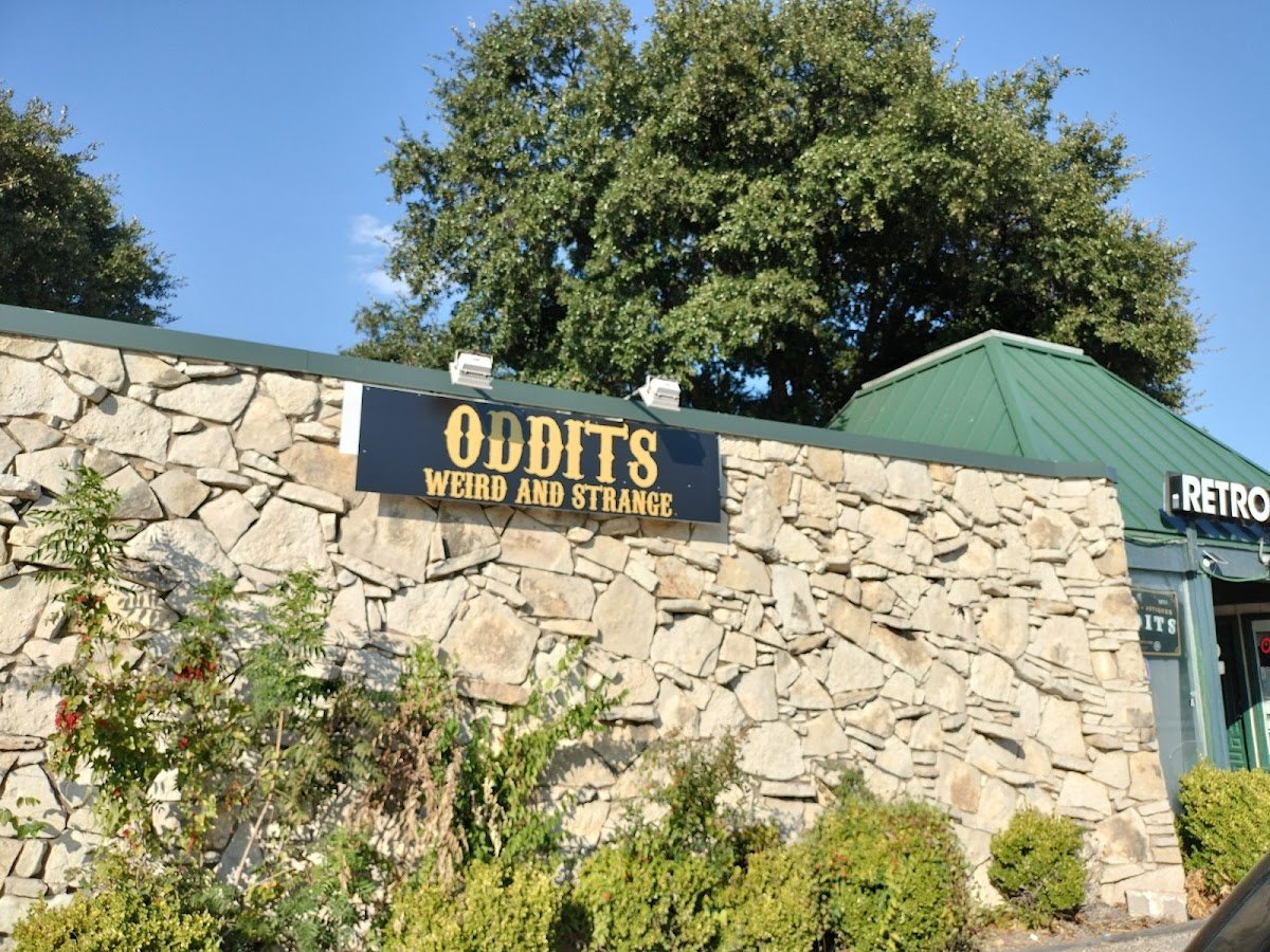 Oddits - Photo 2