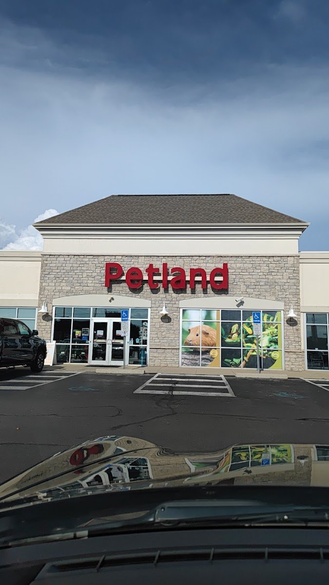 Petland Hilliard - Photo 2