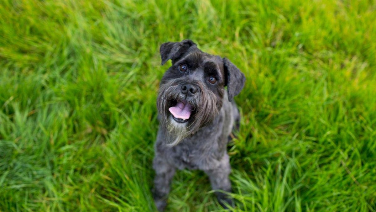 Baxter Veterinary Clinic - Photo 2