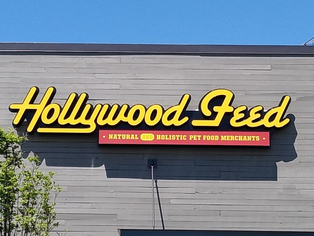 Hollywood Feed - Photo 2