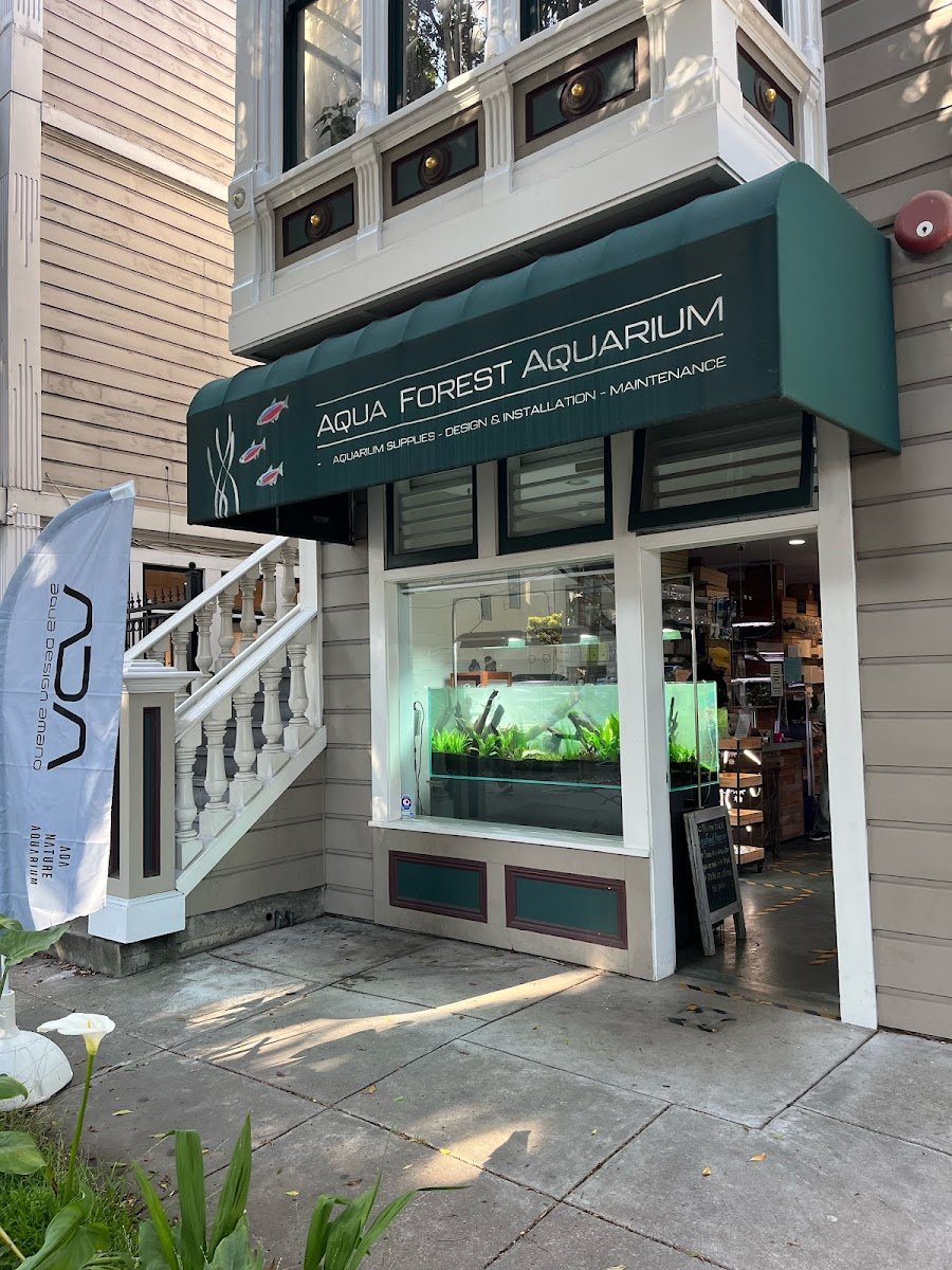 Aqua Forest Aquarium - Photo 2