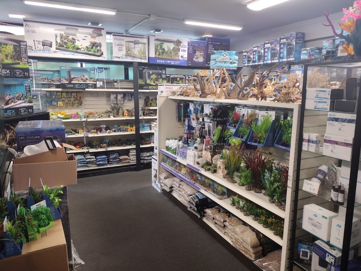 Ultimate Aquarium Inc - Photo 2